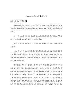 试用期劳动合同(4).docx