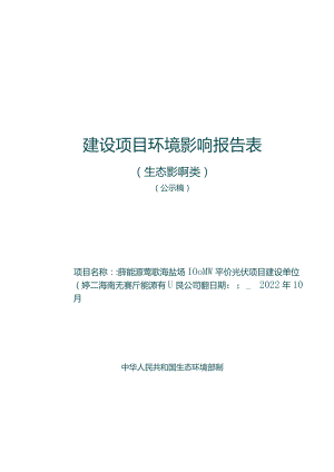 海控能源莺歌海盐场100MW平价光伏项目环评报告.docx