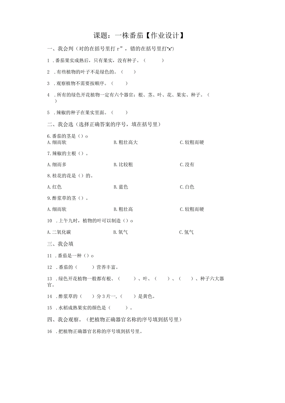 粤教版科学三年级下册11一株番茄练习.docx_第1页