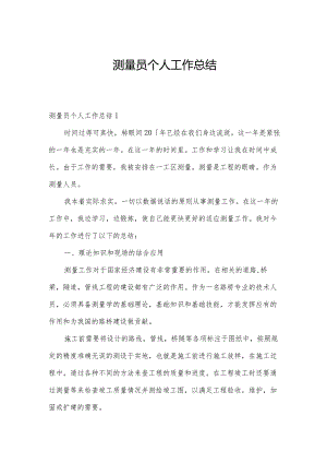 测量员个人工作总结.docx