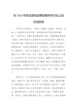 研讨发言：2024年党支部先进典型集体学习交流材料.docx