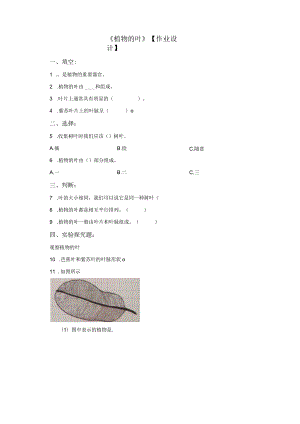 粤教版科学三年级下册12植物的叶练习.docx