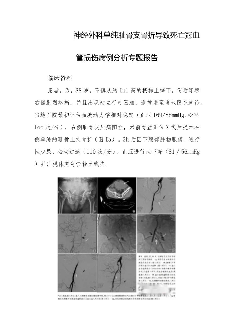 神经外科单纯耻骨支骨折导致死亡冠血管损伤病例分析专题报告.docx_第1页