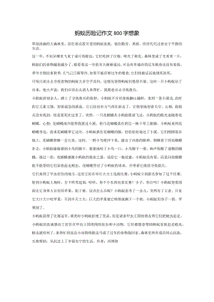 蚂蚁历险记作文800字想象.docx