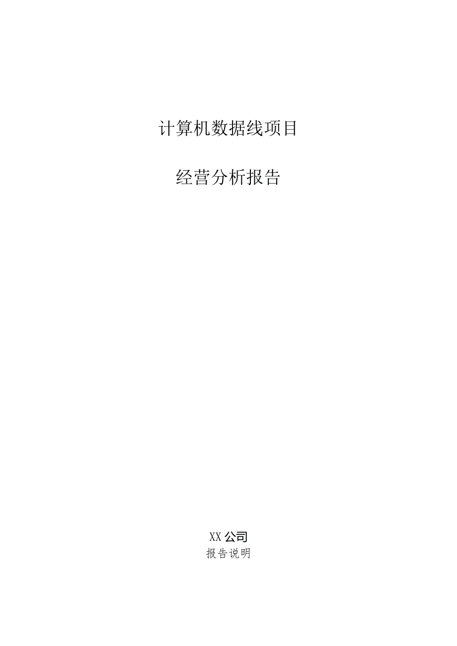 计算机数据线项目经营分析报告.docx_第1页