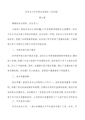 自来水公司年度总结报告（共3篇）.docx