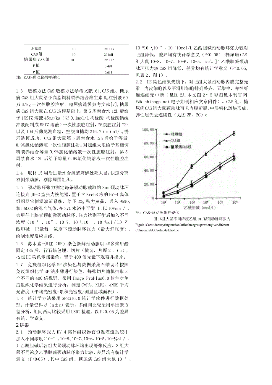 糖尿病与氧化应激在颈动脉粥样硬化大鼠内皮功能障碍中的作用研究.docx_第3页