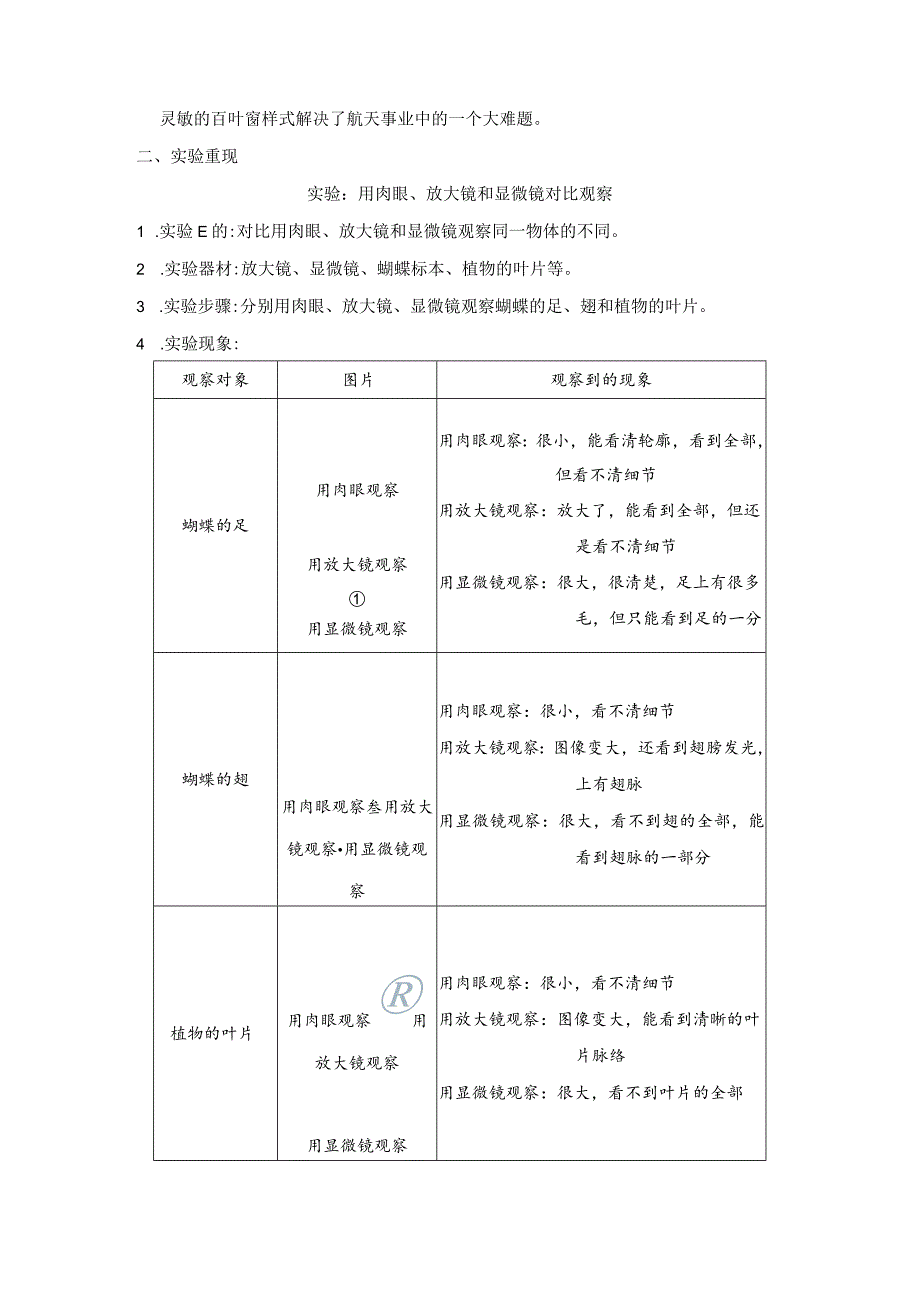 观察身边微小的物体知识点整理教科版科学六年级上册.docx_第3页