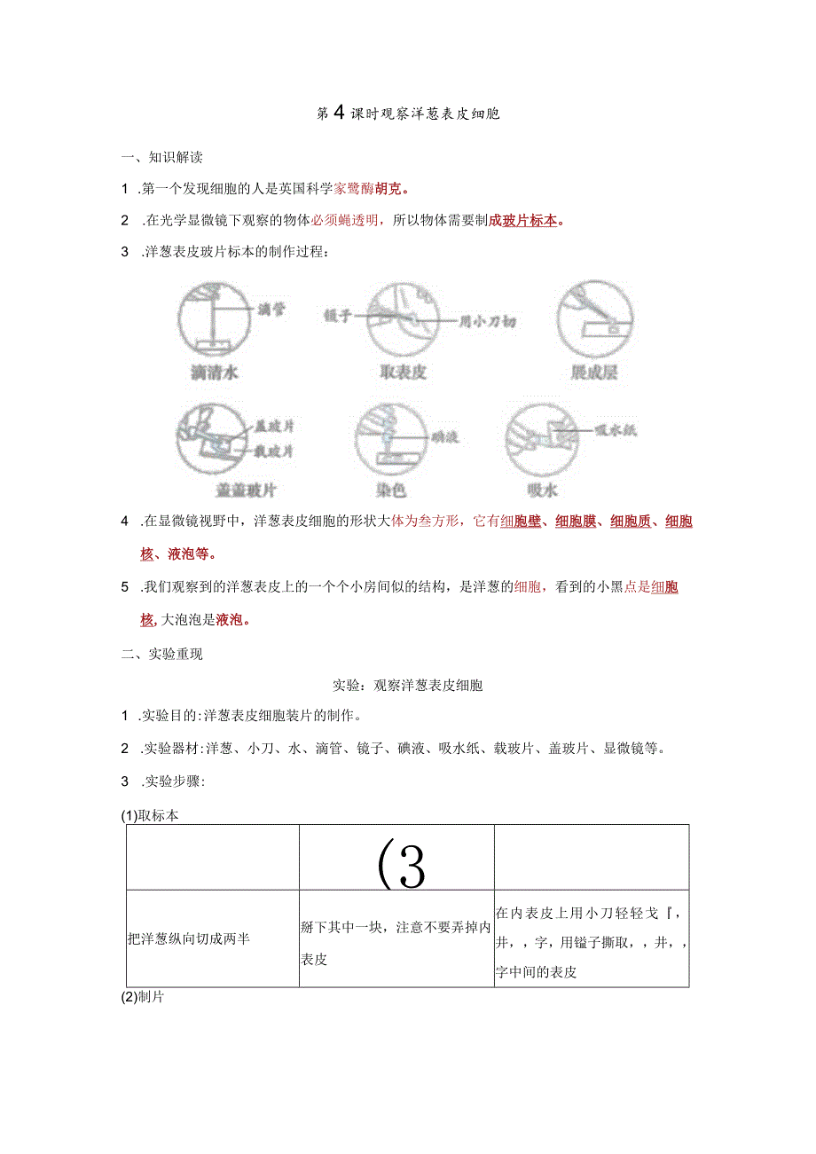 观察洋葱表皮细胞知识点整理教科版科学六年级上册.docx_第1页