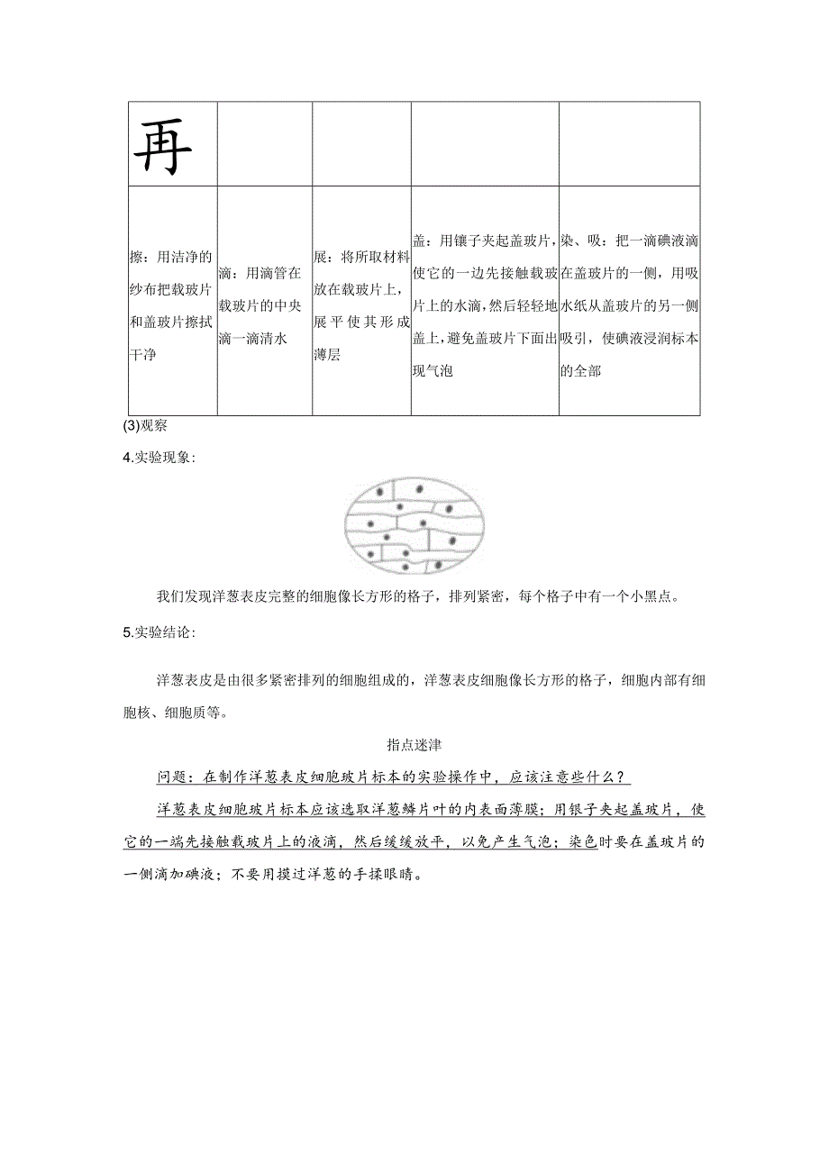 观察洋葱表皮细胞知识点整理教科版科学六年级上册.docx_第2页