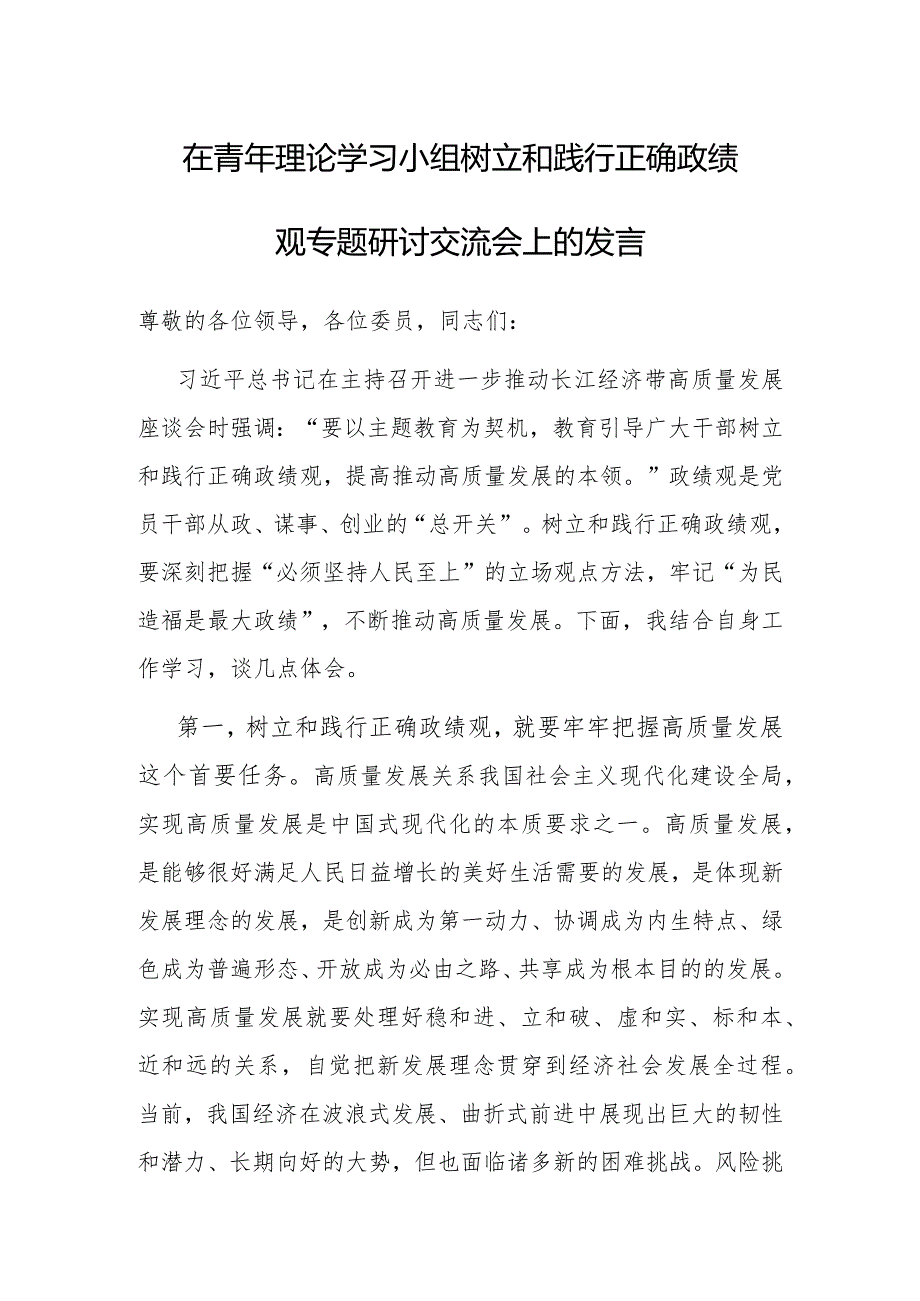 研讨发言：青年理论学习小组树立和践行正确政绩观专题学习交流材料.docx_第1页