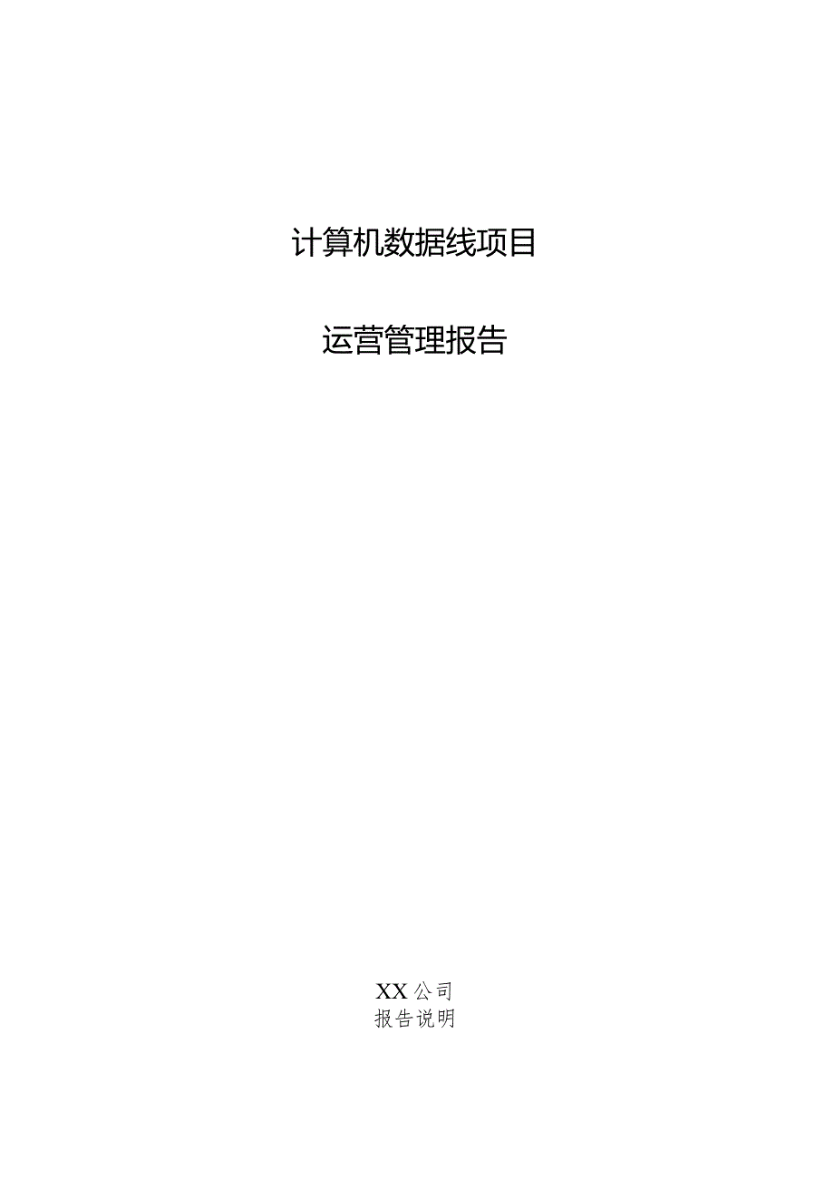 计算机数据线项目运营管理报告.docx_第1页