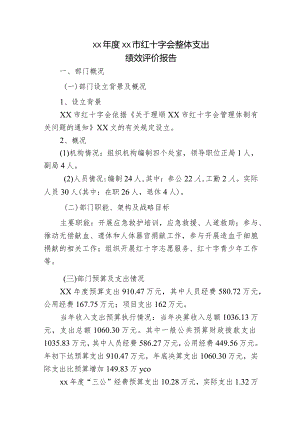 红十字会整体支出绩效评价报告.docx