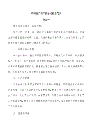 纸制品公司年度总结报告范文.docx