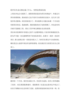 程序员失业后都去做了什么突然觉得很彷徨.docx