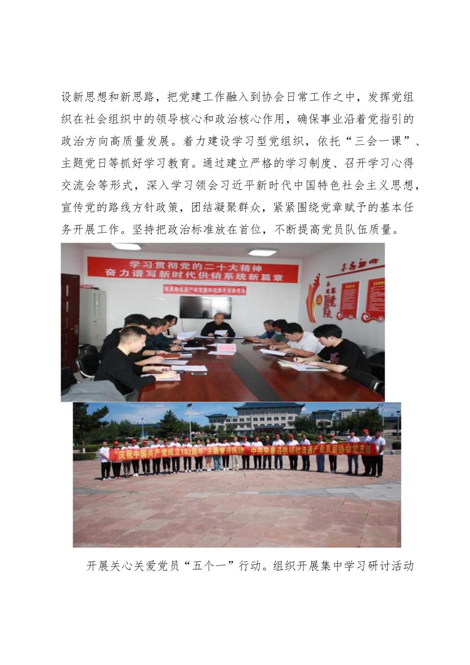 突泉县流通产业发展协会事迹材料.docx_第2页