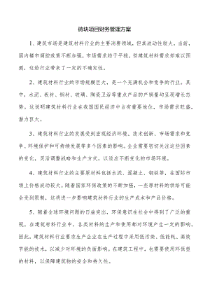 砖块项目财务管理方案.docx