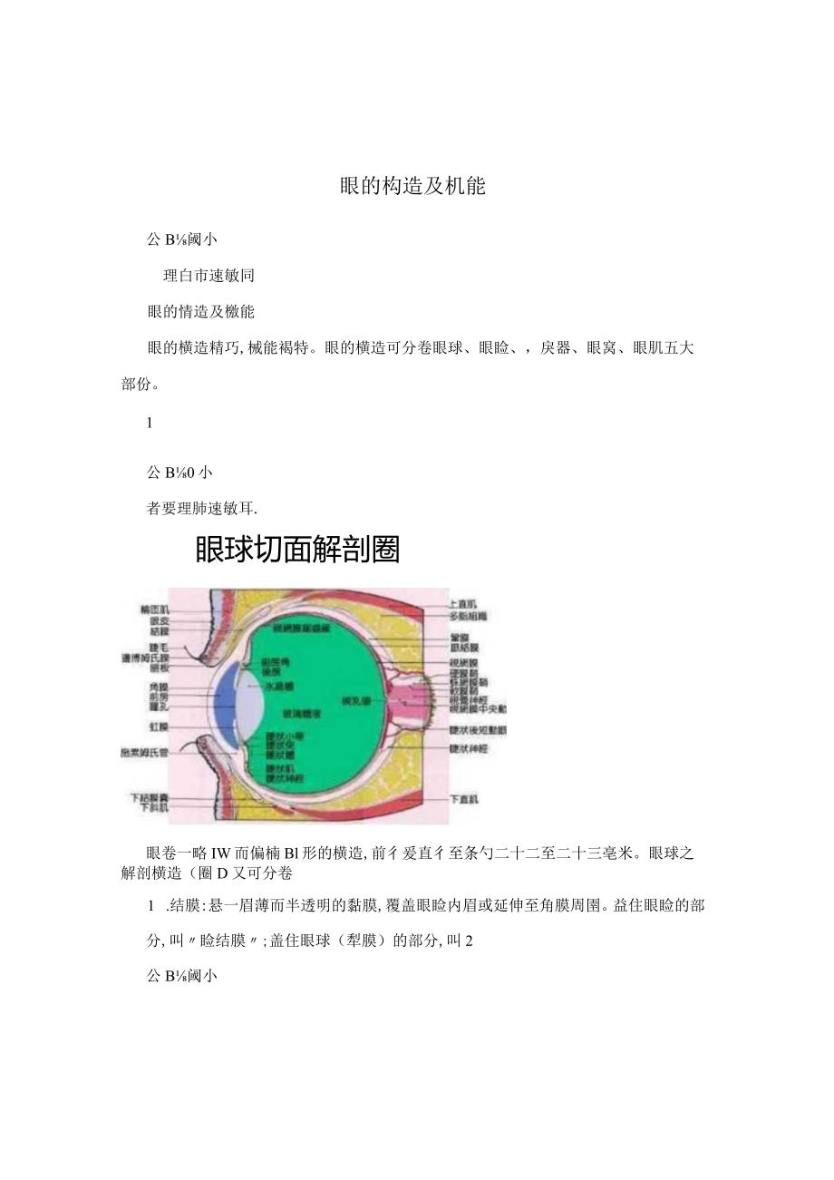 眼的构造及机能.docx_第1页