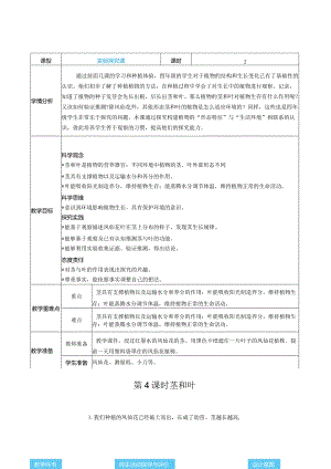 茎和叶核心素养目标教案表格式新教科版科学四年级下册.docx