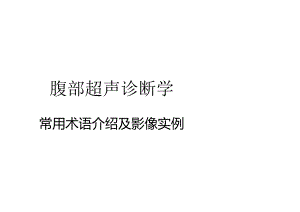 腹部超声诊断学中常用术语介绍及真实案例解读.docx