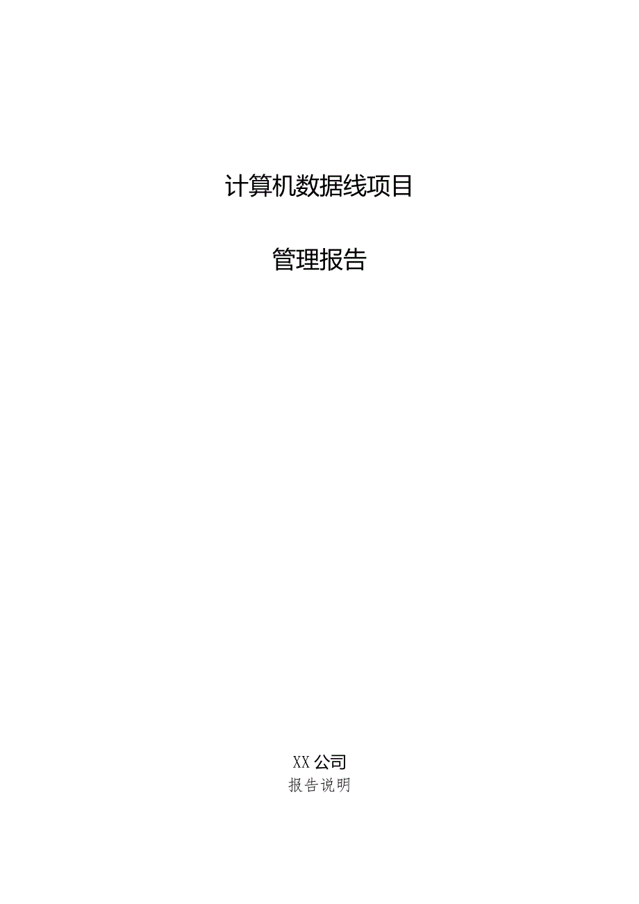 计算机数据线项目管理报告.docx_第1页