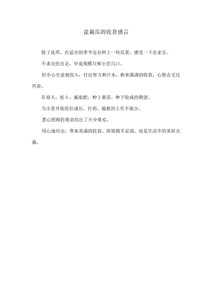 盆栽瓜的收货感言.docx