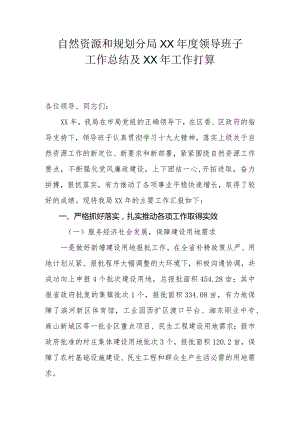 自然资源和规划分局年度领导班子工作总结及来年工作规划.docx