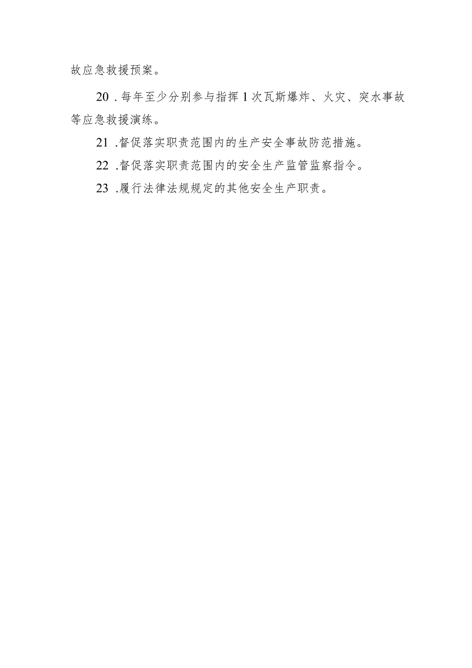 （煤矿）集团总工程师安全生产责任制.docx_第3页