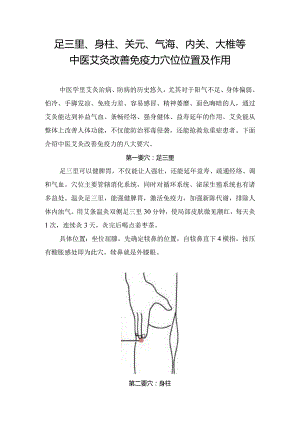 足三里、身柱、关元、气海、内关、大椎等中医艾灸改善免疫力穴位位置及作用.docx