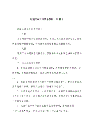 运输公司元旦应急预案（12篇）.docx