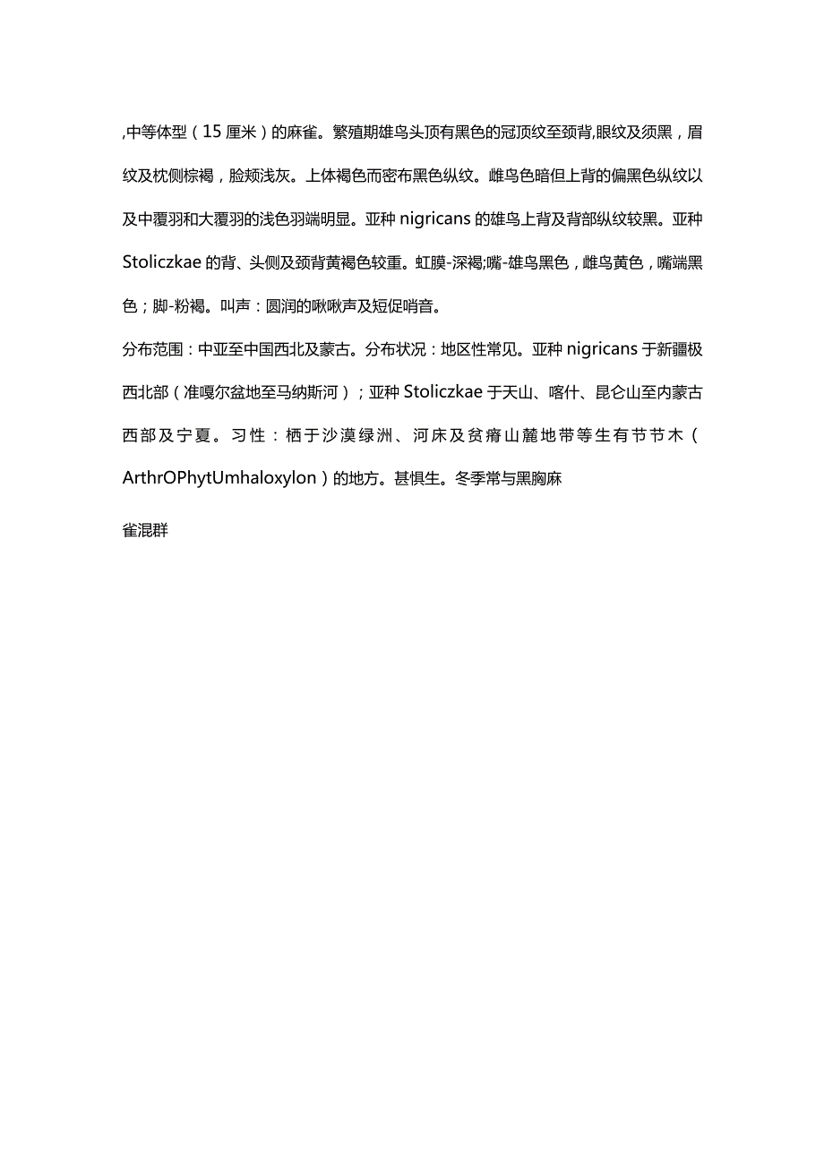 麻雀的种类.docx_第3页