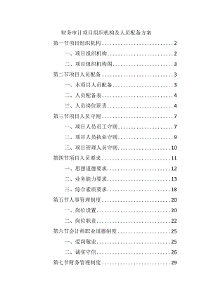 财务审计项目组织机构及人员配备方案.docx