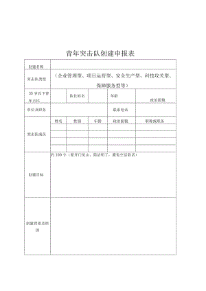 青年突击队创建表、结项表、统计表.docx