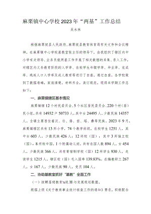 麻栗镇中心学校2023年两基工作总结.docx