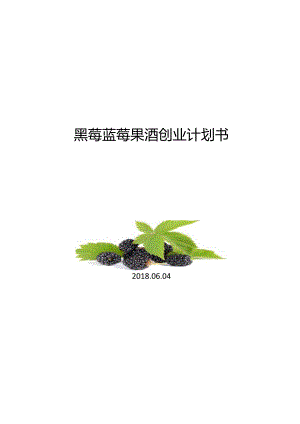 黑莓蓝莓果酒创业计划书.docx