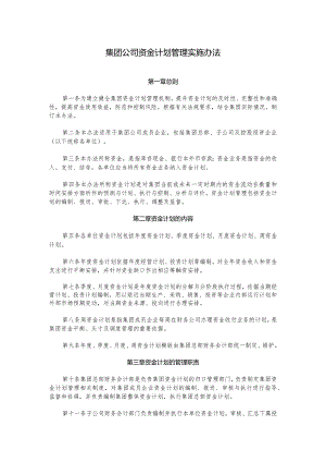 集团公司资金计划管理实施办法.docx