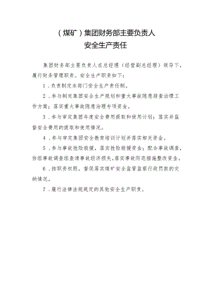 （煤矿）集团财务部主要负责人安全生产责任制.docx