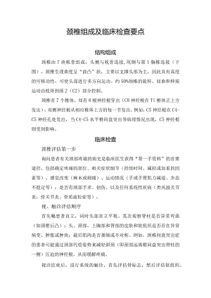 颈椎组成及临床检查要点.docx