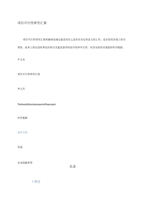项目可行性报告要点化简.docx