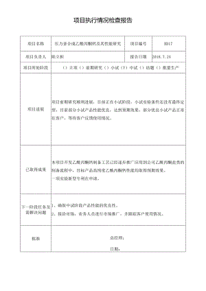 项目执行情况检查报告(乙酰丙酮钙).docx