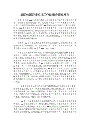 集团公司迎接巡视工作动员会表态发言.docx