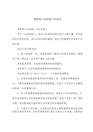 销售部门试用期工作总结.docx