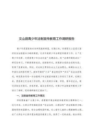 XX县青少年法制宣传教育工作调研报告.docx