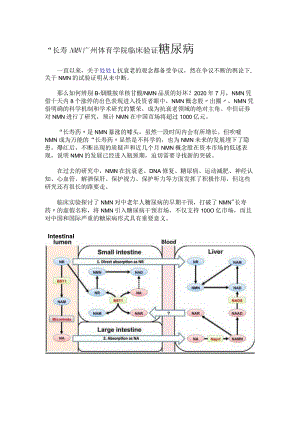 “长寿NMN广州体育学院临床验证糖尿病.docx