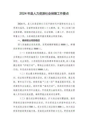 2024年县人力资源社会保障工作要点.docx