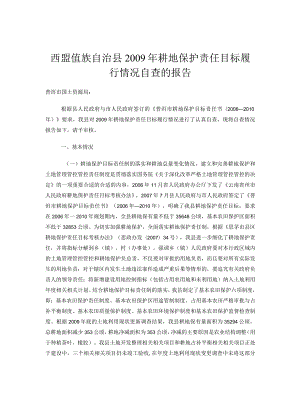 XX县耕地保护责任目标履行情况自查报告.docx