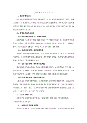 贯彻河长制工作总结.docx