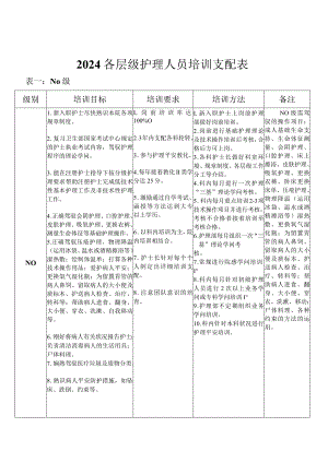 2024各层级护士培训计划表.docx