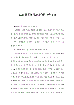 2024暑期教师培训心得体会5篇.docx