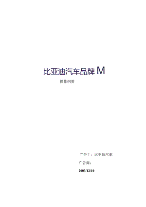 X汽车品牌策划操作纲要.docx